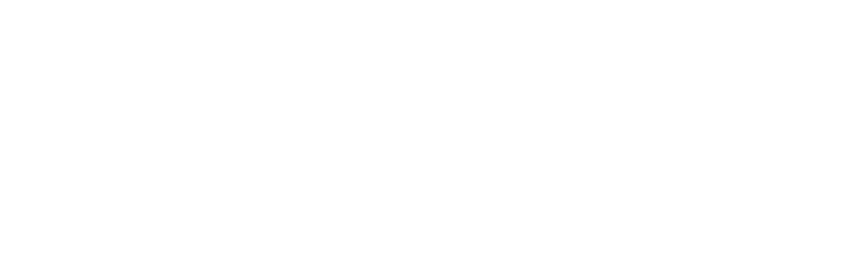 logo rapyd