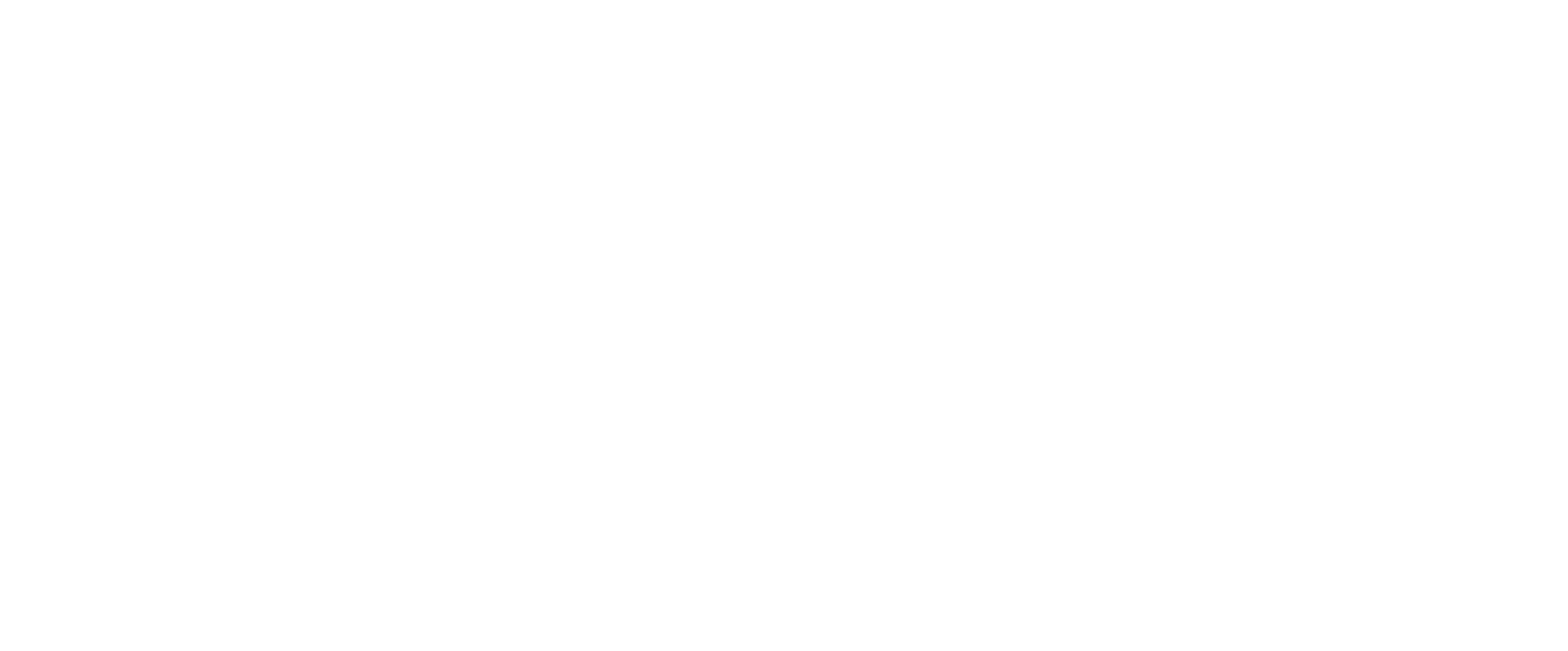 logo stripe