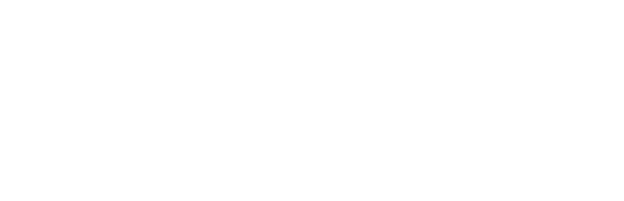 logo visa white